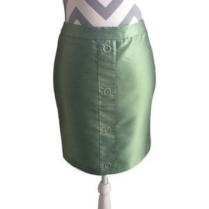 H & M Pencil Skirt